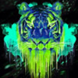 Meet your Posher, Sofia